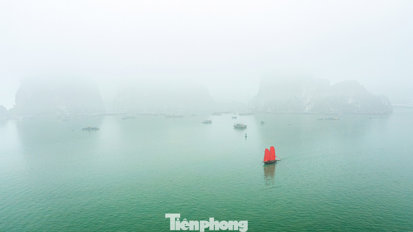 Cảnh lạ ở phố biển Quảng Ninh- Ảnh 3.