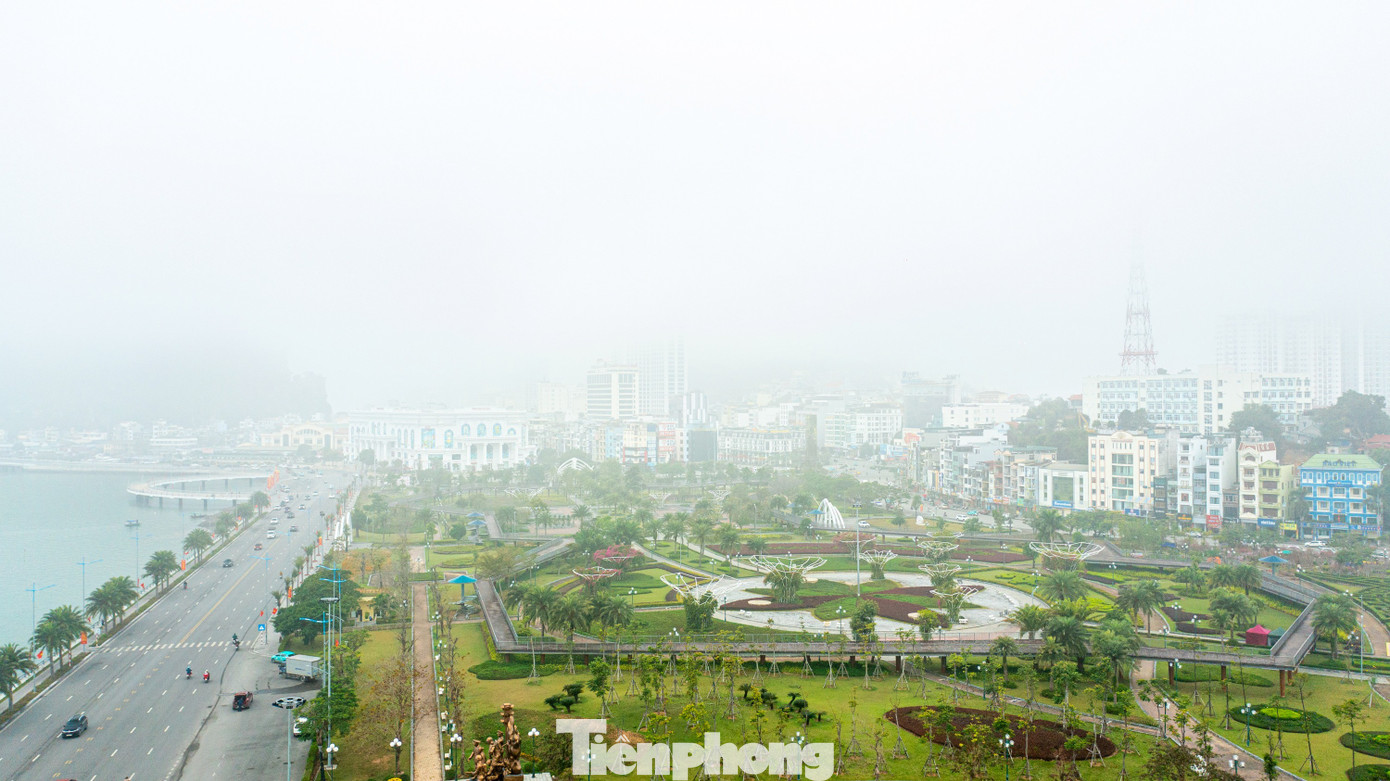 Cảnh lạ ở phố biển Quảng Ninh- Ảnh 10.