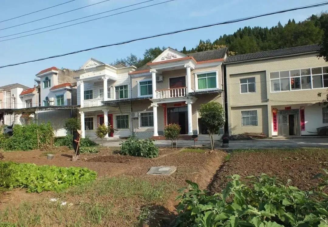 B&aacute;n căn nh&agrave; ở qu&ecirc; để lấy v&agrave;i trăm triệu: T&ocirc;i tưởng m&igrave;nh kh&ocirc;n ngoan, cho đến khi nhận ra vừa đ&aacute;nh mất một &ldquo;đường lui&rdquo; t&agrave;i ch&iacute;nh- Ảnh 1.