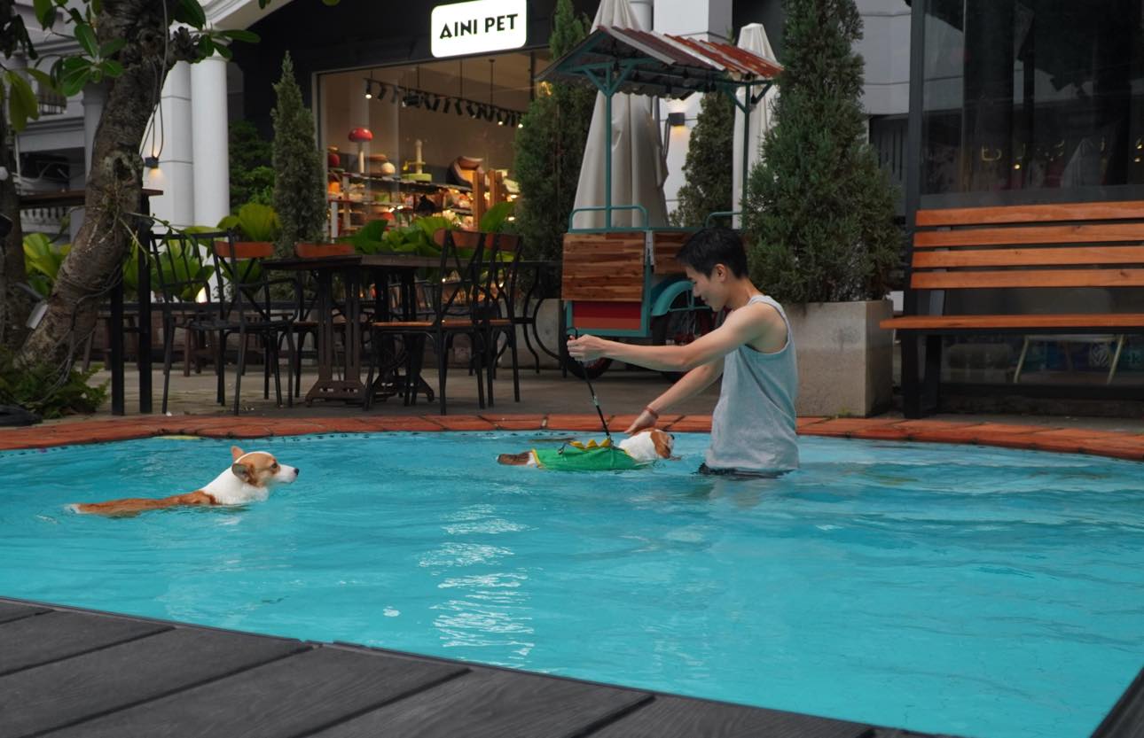 Th&uacute; cưng đi nghỉ Tết ở resort cao cấp, c&oacute; &ldquo;quản gia&rdquo; phục vụ cả ng&agrave;y: Phụ thu 35%, chủ vẫn chi tiền- Ảnh 4.