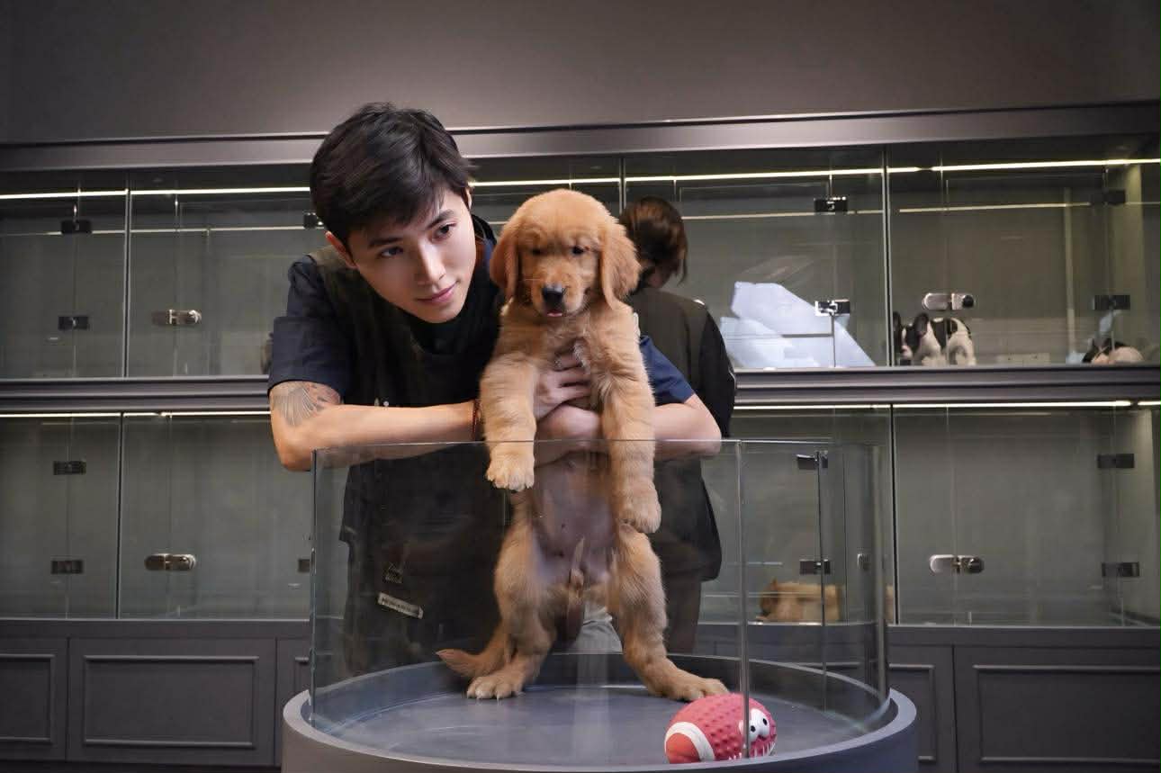 Th&uacute; cưng đi nghỉ Tết ở resort cao cấp, c&oacute; &ldquo;quản gia&rdquo; phục vụ cả ng&agrave;y: Phụ thu 35%, chủ vẫn chi tiền- Ảnh 2.