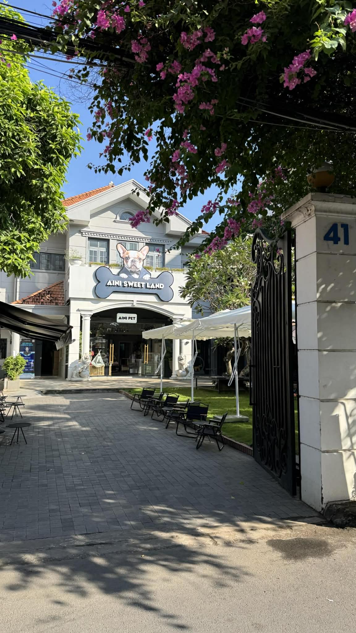 Th&uacute; cưng đi nghỉ Tết ở resort cao cấp, c&oacute; &ldquo;quản gia&rdquo; phục vụ cả ng&agrave;y: Phụ thu 35%, chủ vẫn chi tiền- Ảnh 3.