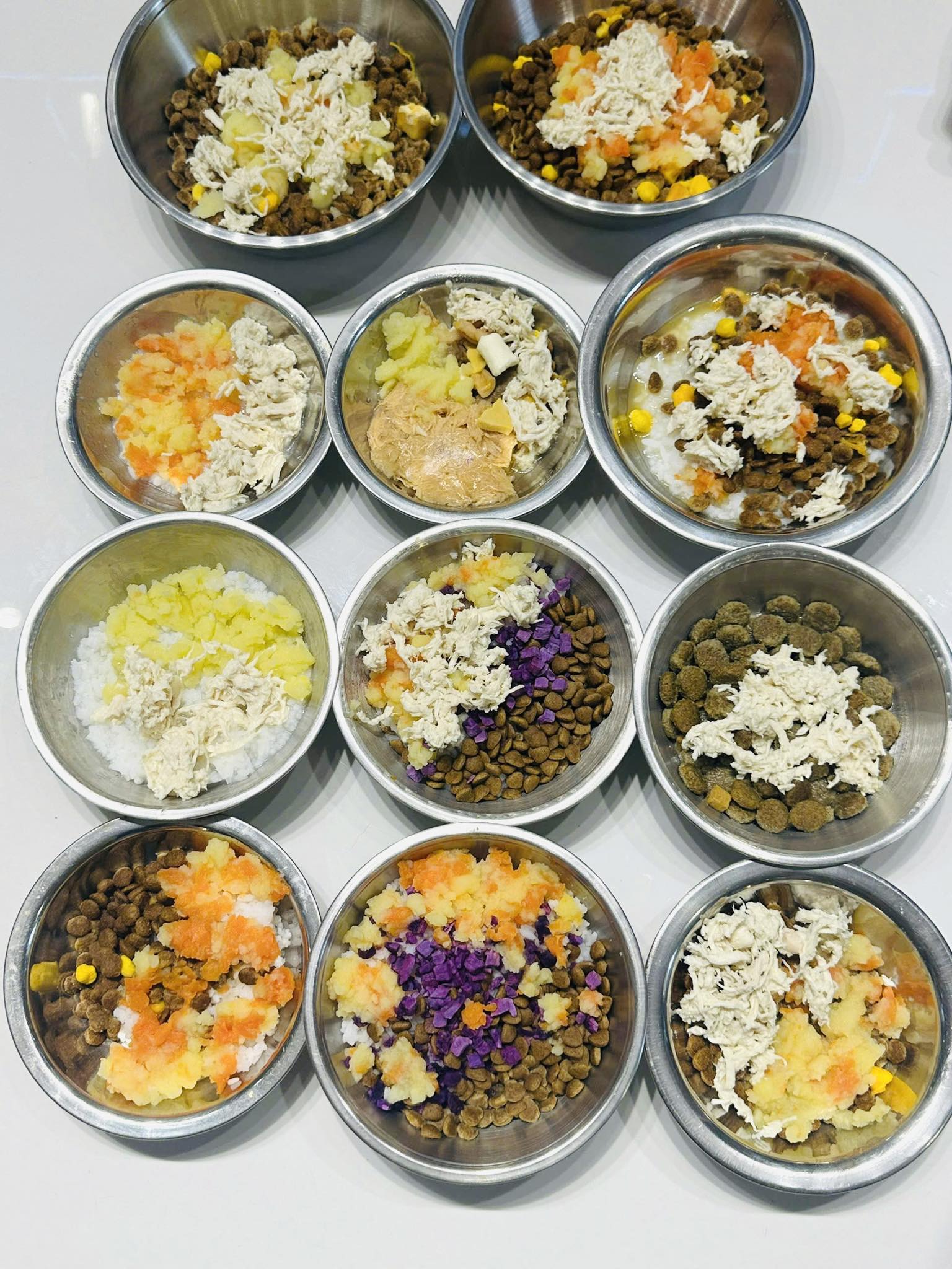 Th&uacute; cưng đi nghỉ Tết ở resort cao cấp, c&oacute; &ldquo;quản gia&rdquo; phục vụ cả ng&agrave;y: Phụ thu 35%, chủ vẫn chi tiền- Ảnh 6.