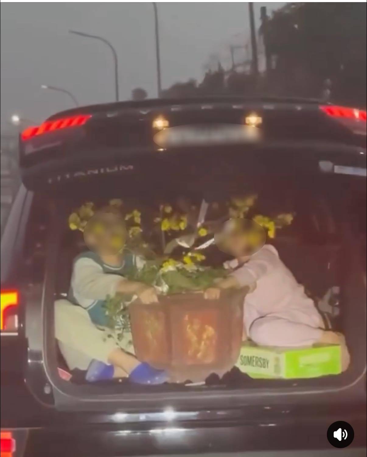 Th&oacute;t tim clip 2 trẻ nhỏ &ocirc;m chậu mai ngồi trong cốp xe đang chạy ngo&agrave;i đường, xem m&agrave; lạnh sống lưng- Ảnh 1.