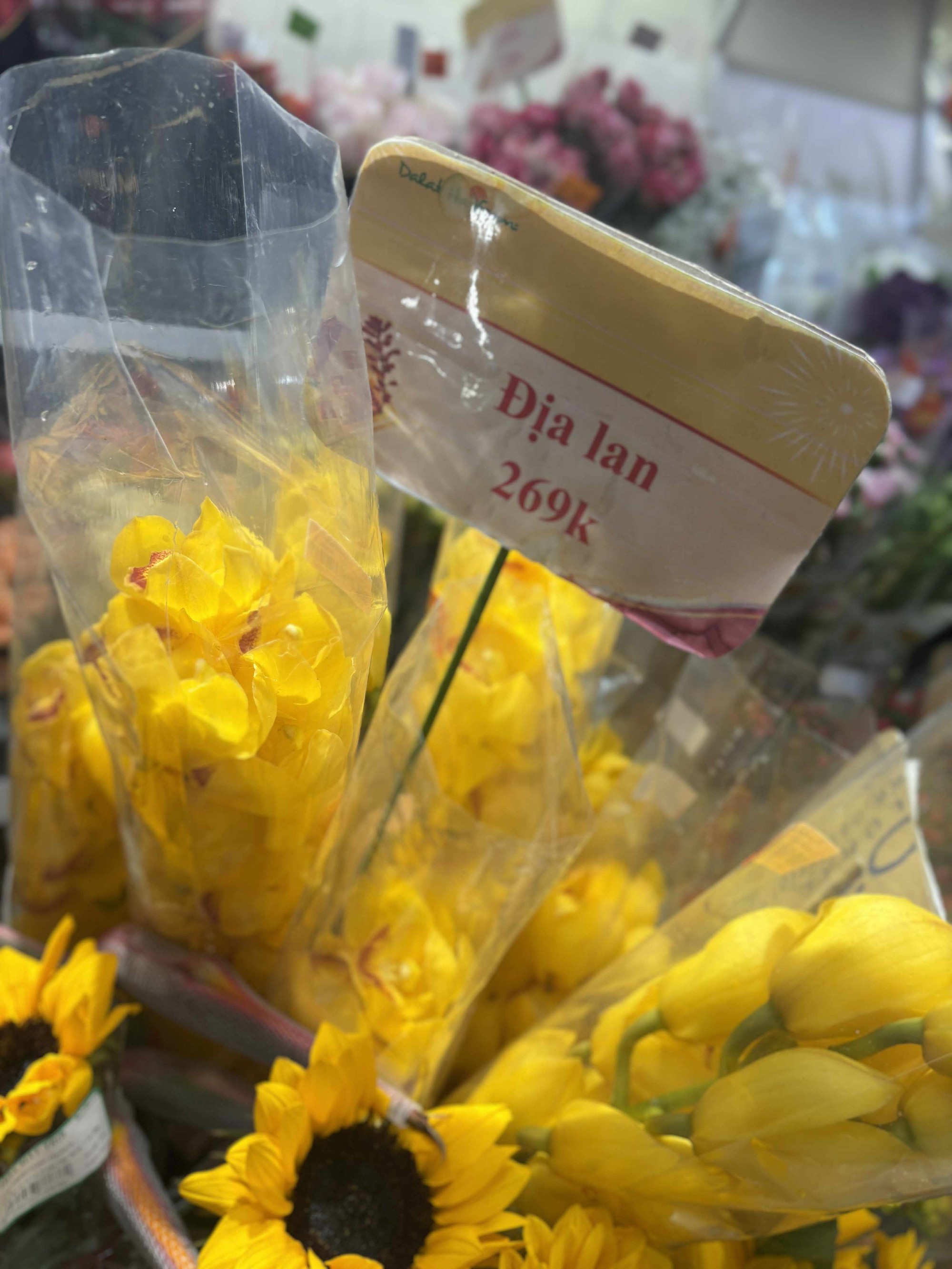 Cập nhật gi&aacute; cả hoa ng&agrave;y 28 Tết: Tuyết mai rẻ bất ngờ, c&uacute;c đẹp &ldquo;đỉnh cao&rdquo;, mộc lan trở th&agrave;nh hot trend- Ảnh 12.