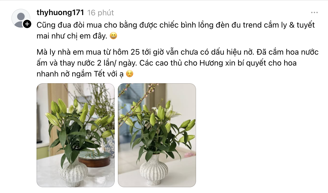 Ph&aacute;t đi&ecirc;n v&igrave; hoa Tết năm nay!- Ảnh 5.