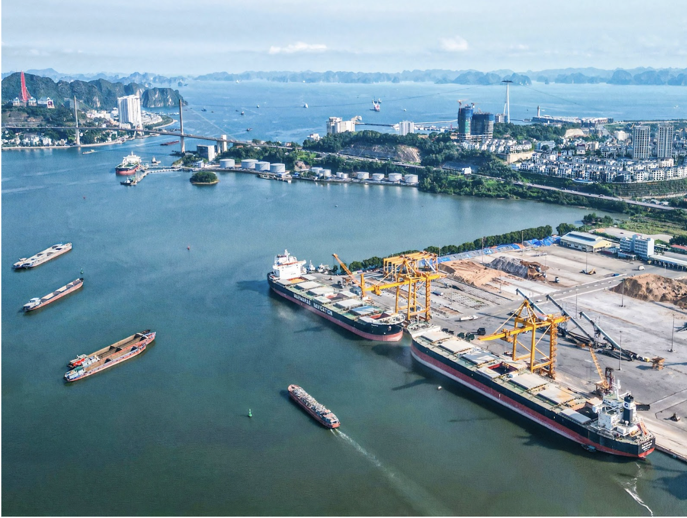 T&T Group: Vươn ra biển lớn từ cội nguồn v&agrave; kh&aacute;t vọng Việt- Ảnh 3.