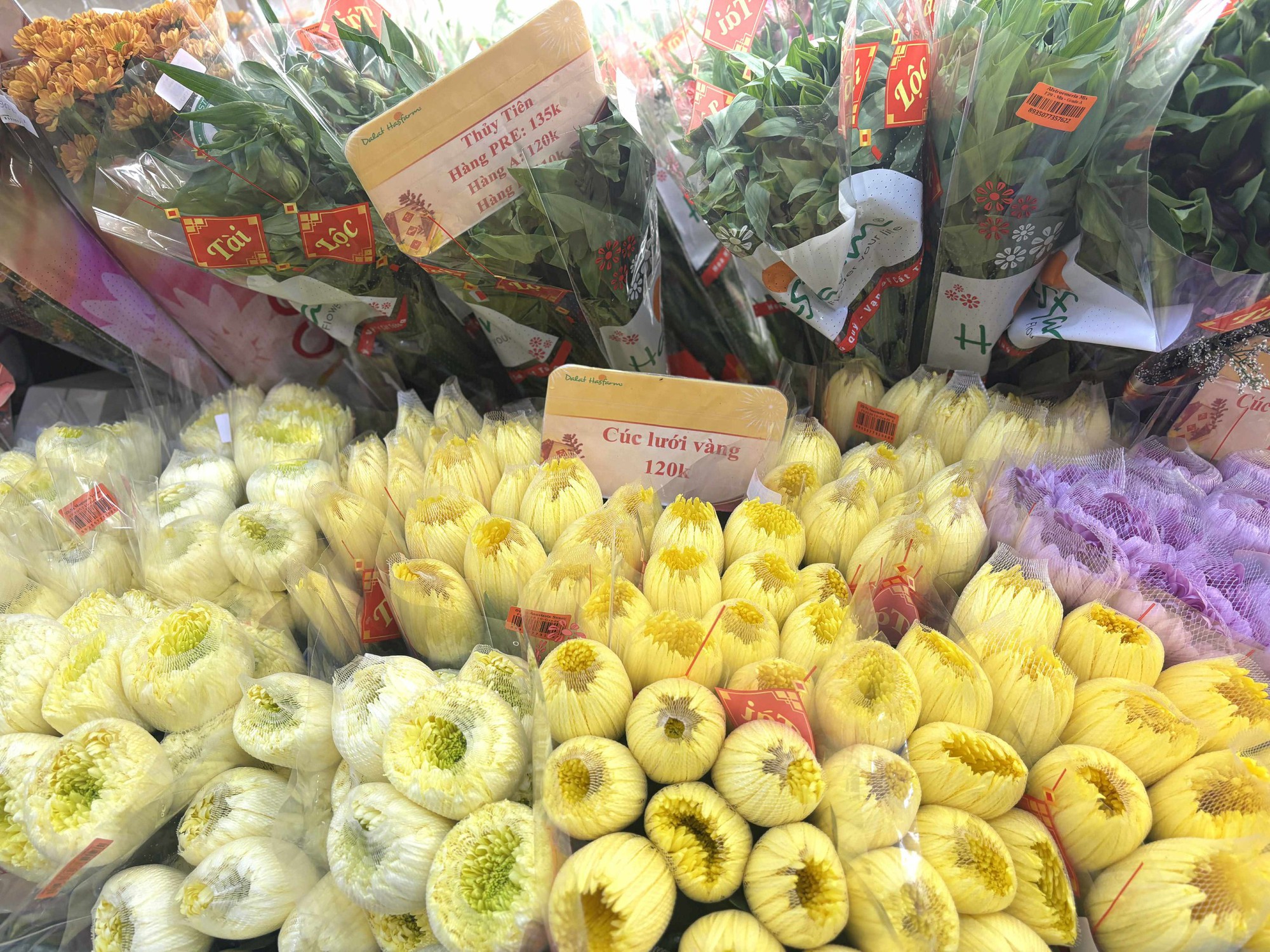 Cập nhật gi&aacute; cả hoa ng&agrave;y 28 Tết: Tuyết mai rẻ bất ngờ, c&uacute;c đẹp &ldquo;đỉnh cao&rdquo;, mộc lan trở th&agrave;nh hot trend- Ảnh 3.