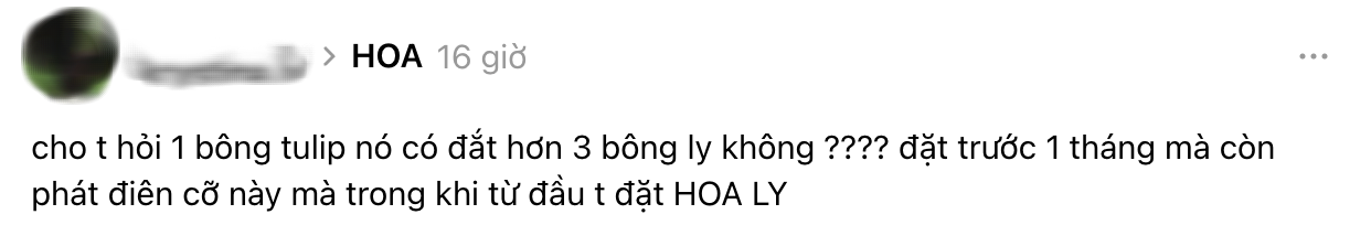 7749 drama hoa Valentine 27 Tết- Ảnh 10.