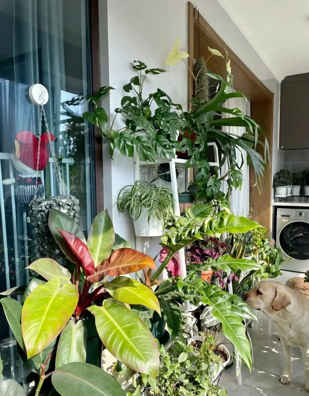 Kh&ocirc;ng phải m&ecirc; t&iacute;n: Đừng đặt 4 thứ n&agrave;y ở ban c&ocirc;ng d&ugrave; rộng đến mấy, tr&aacute;nh ảnh hưởng sức khỏe, rước họa v&agrave;o th&acirc;n- Ảnh 1.