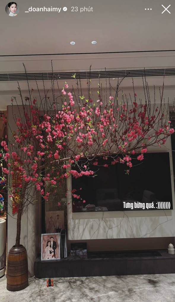 Do&atilde;n Hải My 