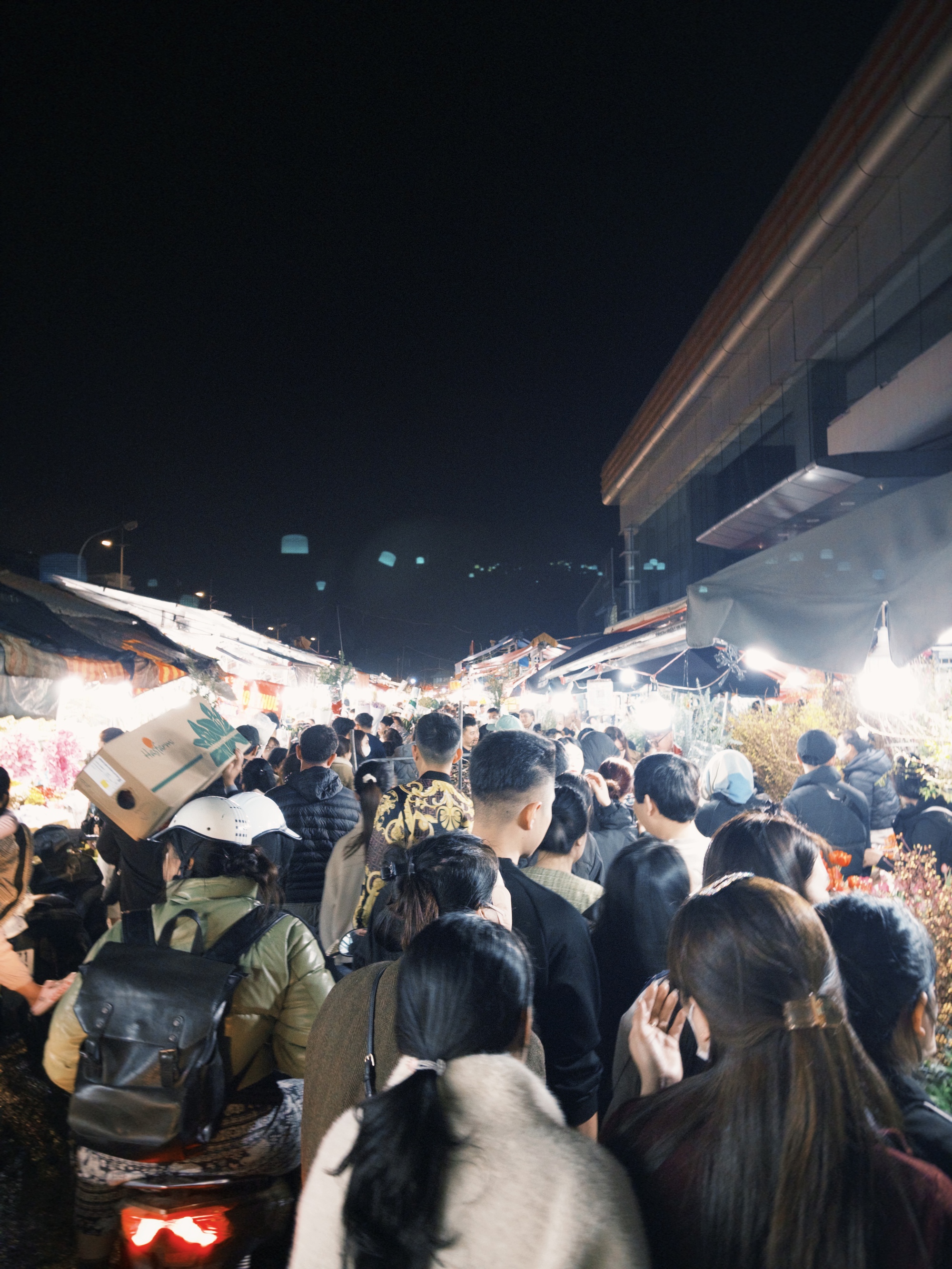 Ph&aacute;t đi&ecirc;n v&igrave; hoa Tết năm nay!- Ảnh 8.