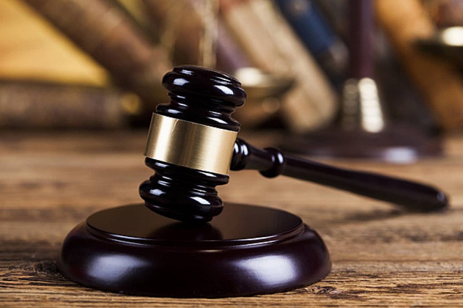 Tỉa c&agrave;nh mọc chặn lối đi, kh&ocirc;ng ngờ l&agrave; c&acirc;y qu&yacute; c&oacute; gi&aacute; 3,8 tỷ đồng, h&agrave;ng x&oacute;m sang đ&ograve;i 180 triệu đồng, t&ograve;a tuy&ecirc;n bố: Kh&ocirc;ng cần đền- Ảnh 2.