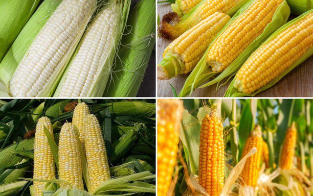 Đ&acirc;y mới l&agrave; loại quả được khuy&ecirc;n ăn thường xuy&ecirc;n để bảo vệ v&agrave; trẻ h&oacute;a tim mạch- Ảnh 1.