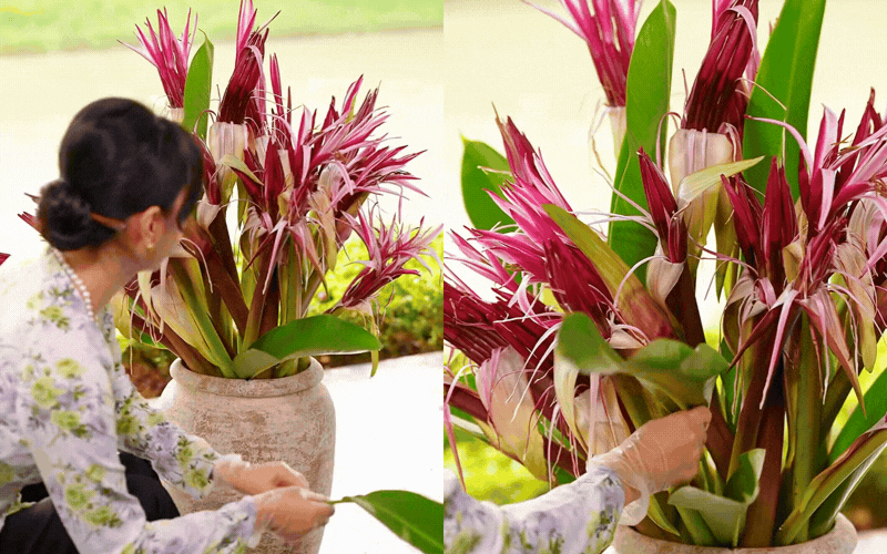 "Ph&uacute; b&agrave; Long Bi&ecirc;n" m&aacute;ch nước chưng Tết: Chỉ một b&igrave;nh hoa n&aacute;ng đỏ, nh&agrave; cửa thơm nức, rước lộc đầy tay- Ảnh 1.