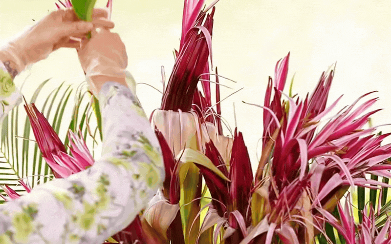 "Ph&uacute; b&agrave; Long Bi&ecirc;n" m&aacute;ch nước chưng Tết: Chỉ một b&igrave;nh hoa n&aacute;ng đỏ, nh&agrave; cửa thơm nức, rước lộc đầy tay- Ảnh 5.