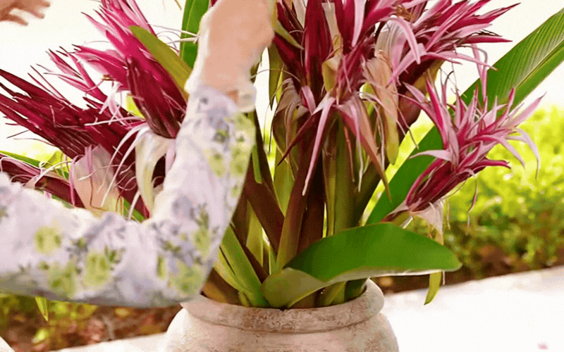 "Ph&uacute; b&agrave; Long Bi&ecirc;n" m&aacute;ch nước chưng Tết: Chỉ một b&igrave;nh hoa n&aacute;ng đỏ, nh&agrave; cửa thơm nức, rước lộc đầy tay- Ảnh 3.