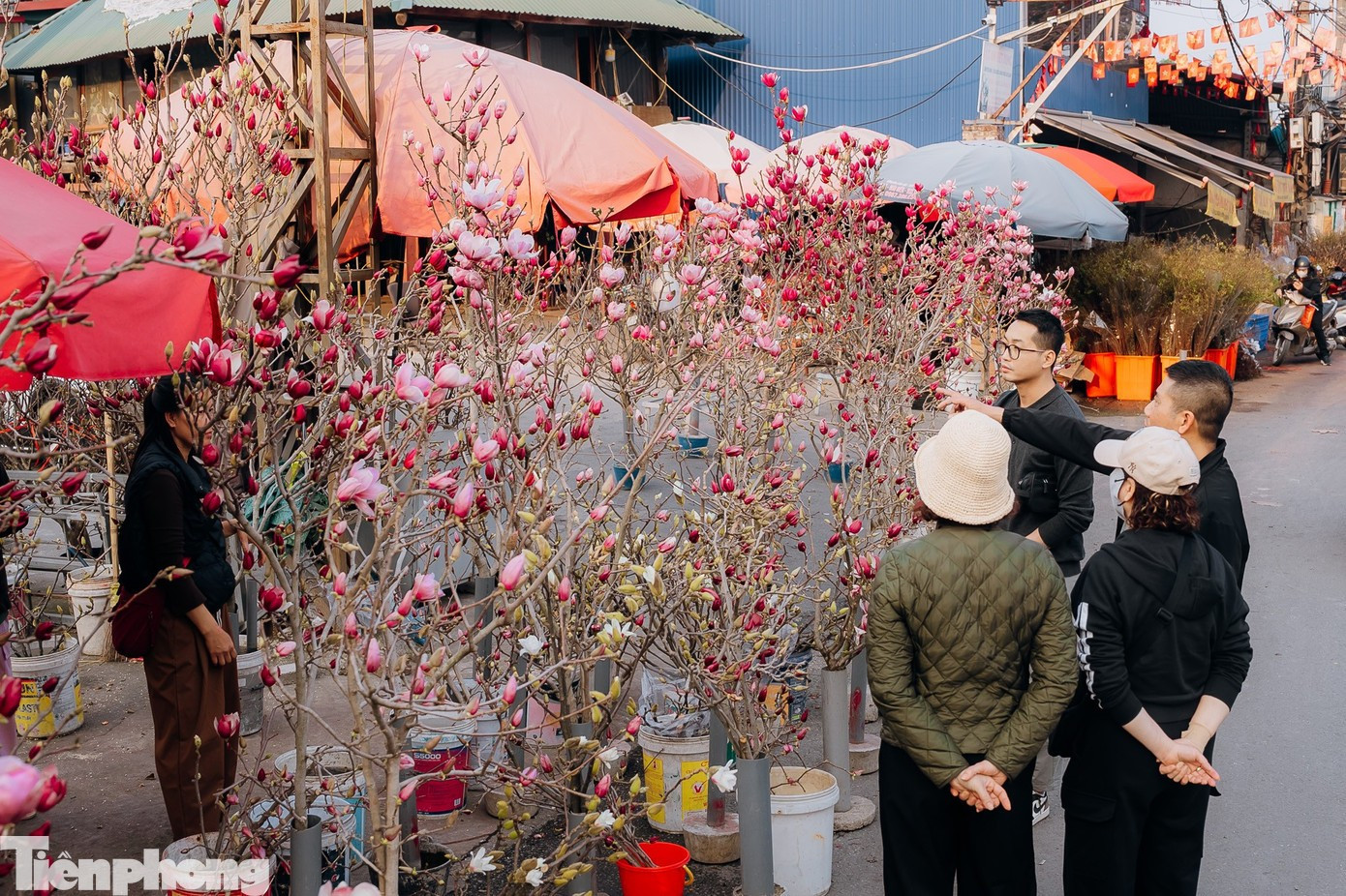 Miền Bắc 'nắng gắt' ng&agrave;y 28 Tết- Ảnh 1.