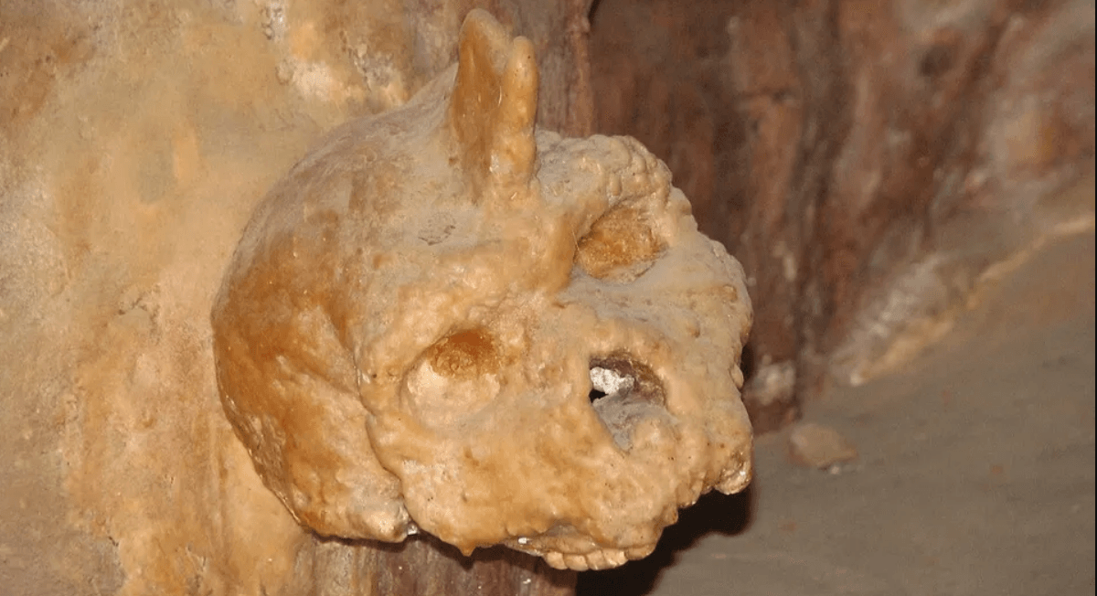 Lịch sử lo&agrave;i người c&oacute; thể phải viết lại v&igrave; ph&aacute;t hiện của một người chăn cừu v&agrave;o năm 1959- Ảnh 1.