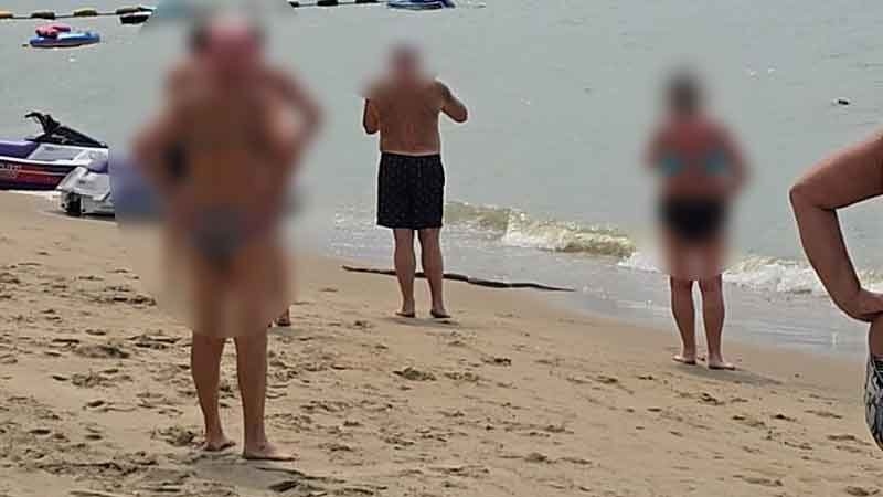 Thấy thứ "đ&aacute;ng sợ" trồi l&ecirc;n từ biển, du kh&aacute;ch hoảng sợ bỏ chạy- Ảnh 1.