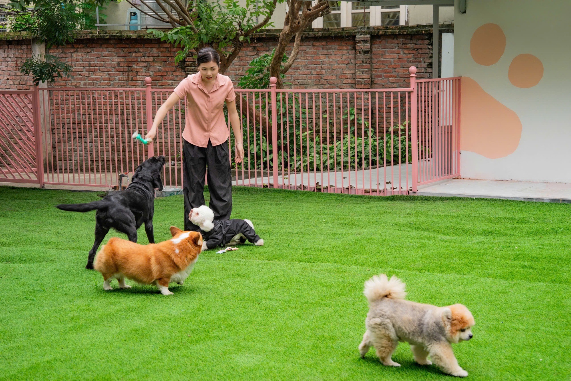 Th&uacute; cưng đi nghỉ Tết ở resort cao cấp, c&oacute; &ldquo;quản gia&rdquo; phục vụ cả ng&agrave;y: Phụ thu 35%, chủ vẫn chi tiền- Ảnh 9.