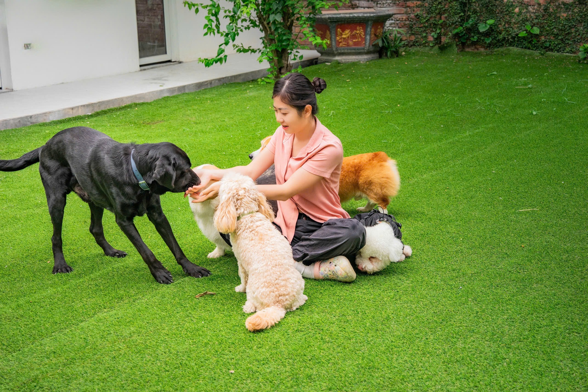 Th&uacute; cưng đi nghỉ Tết ở resort cao cấp, c&oacute; &ldquo;quản gia&rdquo; phục vụ cả ng&agrave;y: Phụ thu 35%, chủ vẫn chi tiền- Ảnh 1.