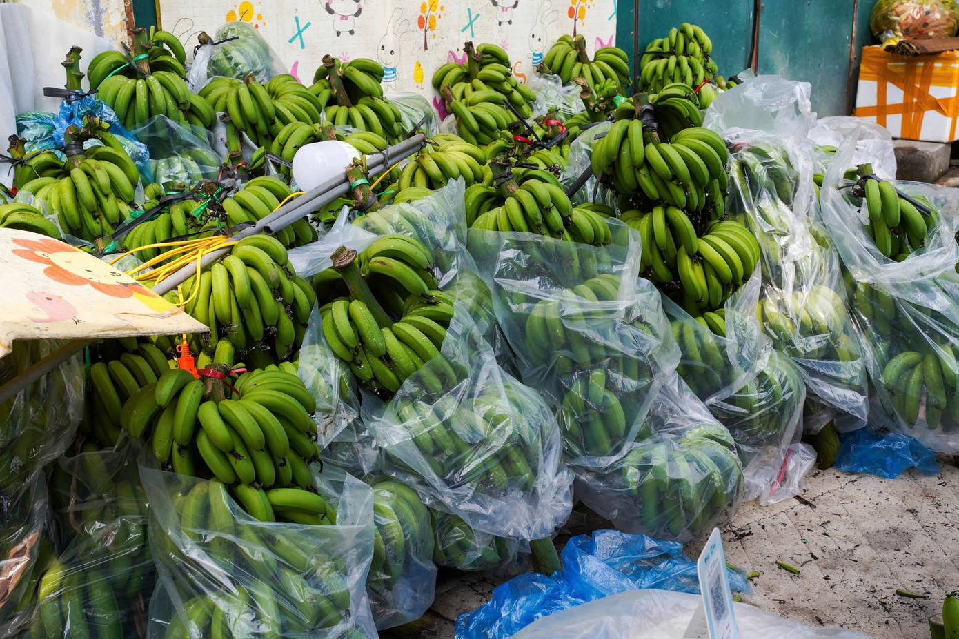 Chuối xanh 28 Tết: Từ nửa triệu &lsquo;rơi&rsquo; xuống 30.000 đồng vẫn ế- Ảnh 11.