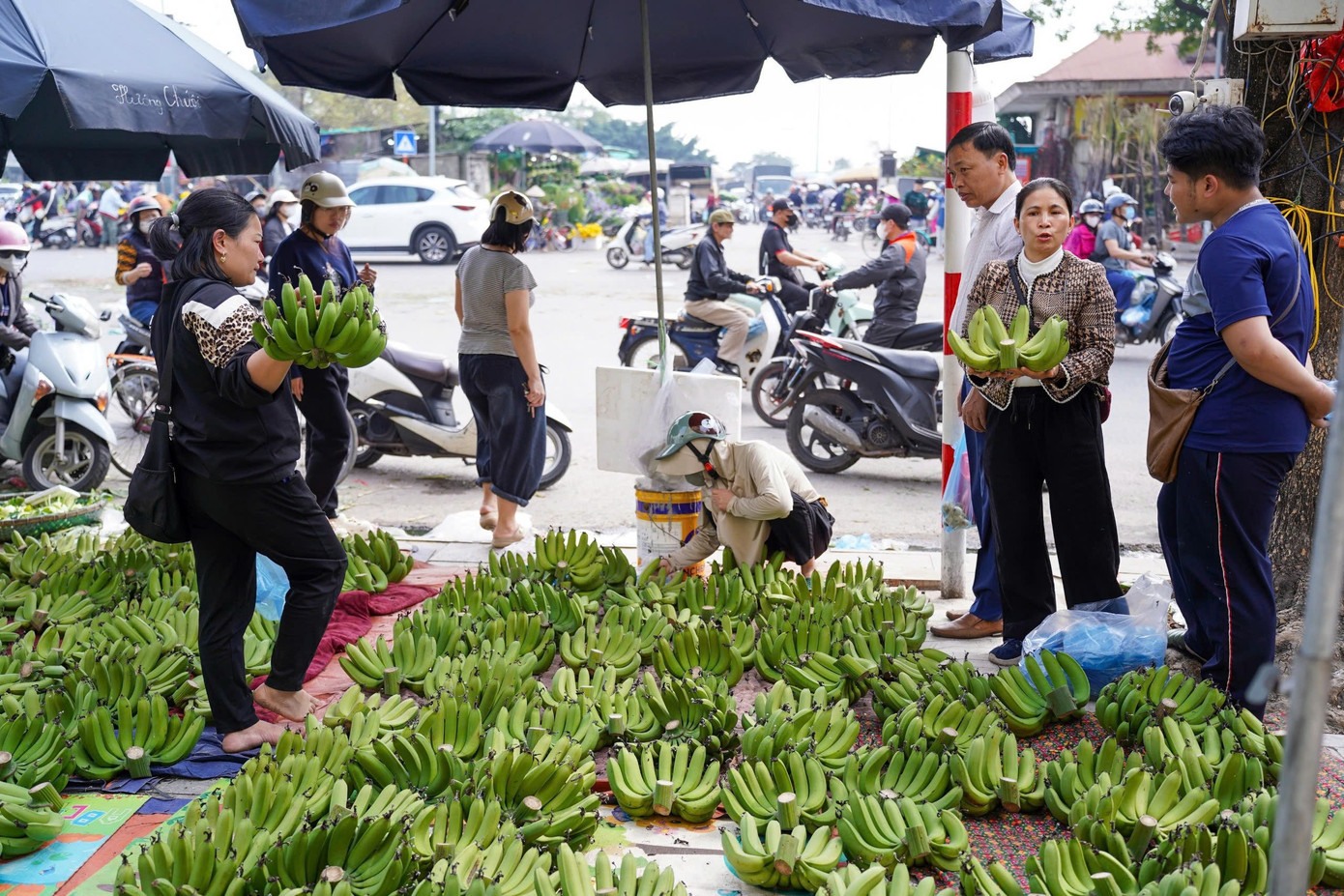 Chuối xanh 28 Tết: Từ nửa triệu &lsquo;rơi&rsquo; xuống 30.000 đồng vẫn ế- Ảnh 1.
