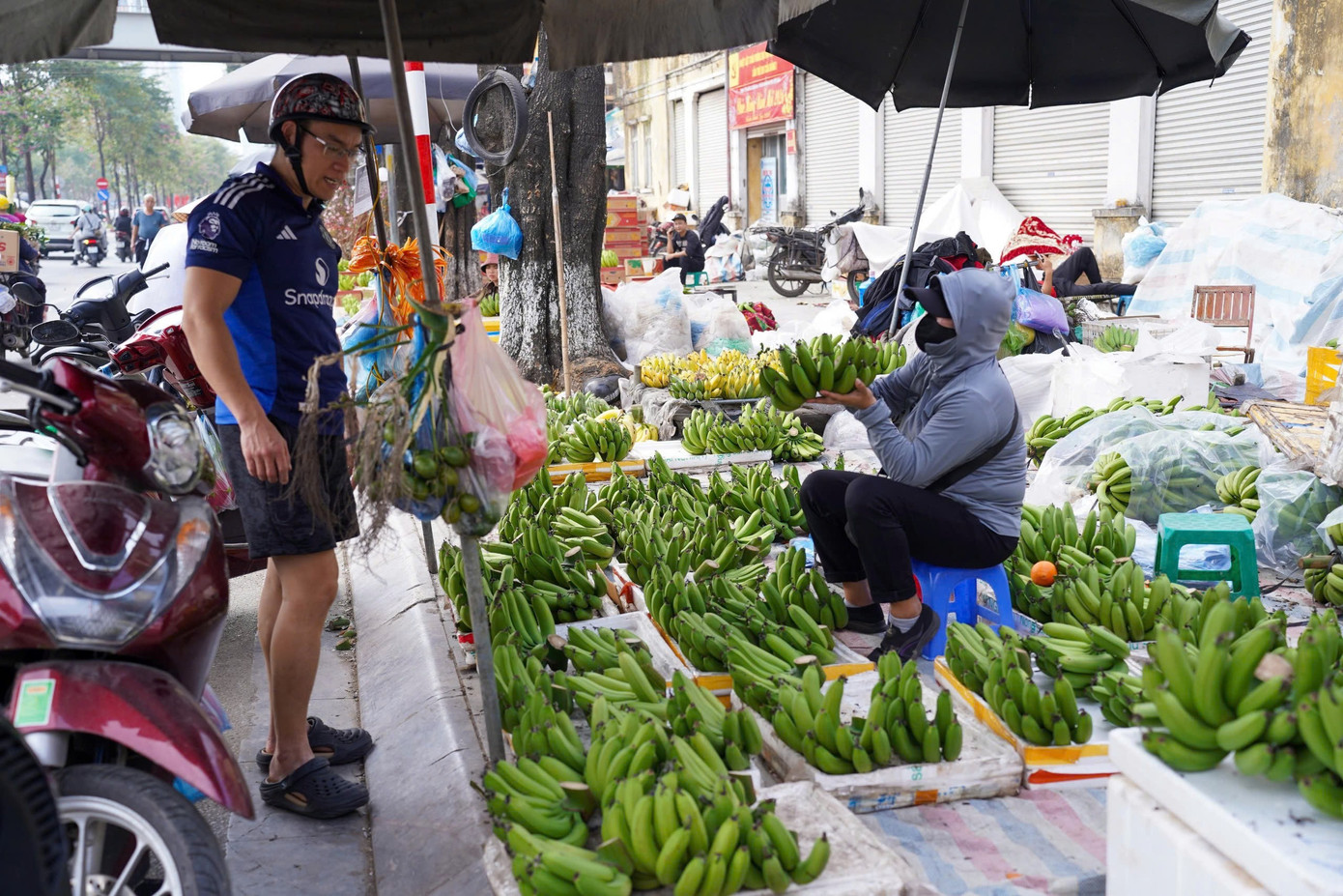 Chuối xanh 28 Tết: Từ nửa triệu &lsquo;rơi&rsquo; xuống 30.000 đồng vẫn ế- Ảnh 5.
