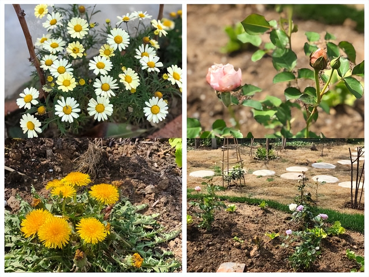 Kh&ocirc;ng mua nh&agrave; th&agrave;nh phố, cặp vợ chồng 33 tuổi biến s&acirc;n qu&ecirc; th&agrave;nh "ph&ograve;ng tắm nắng" v&agrave; chọn một kiểu tự do t&agrave;i ch&iacute;nh khiến d&acirc;n mạng tranh luận- Ảnh 10.