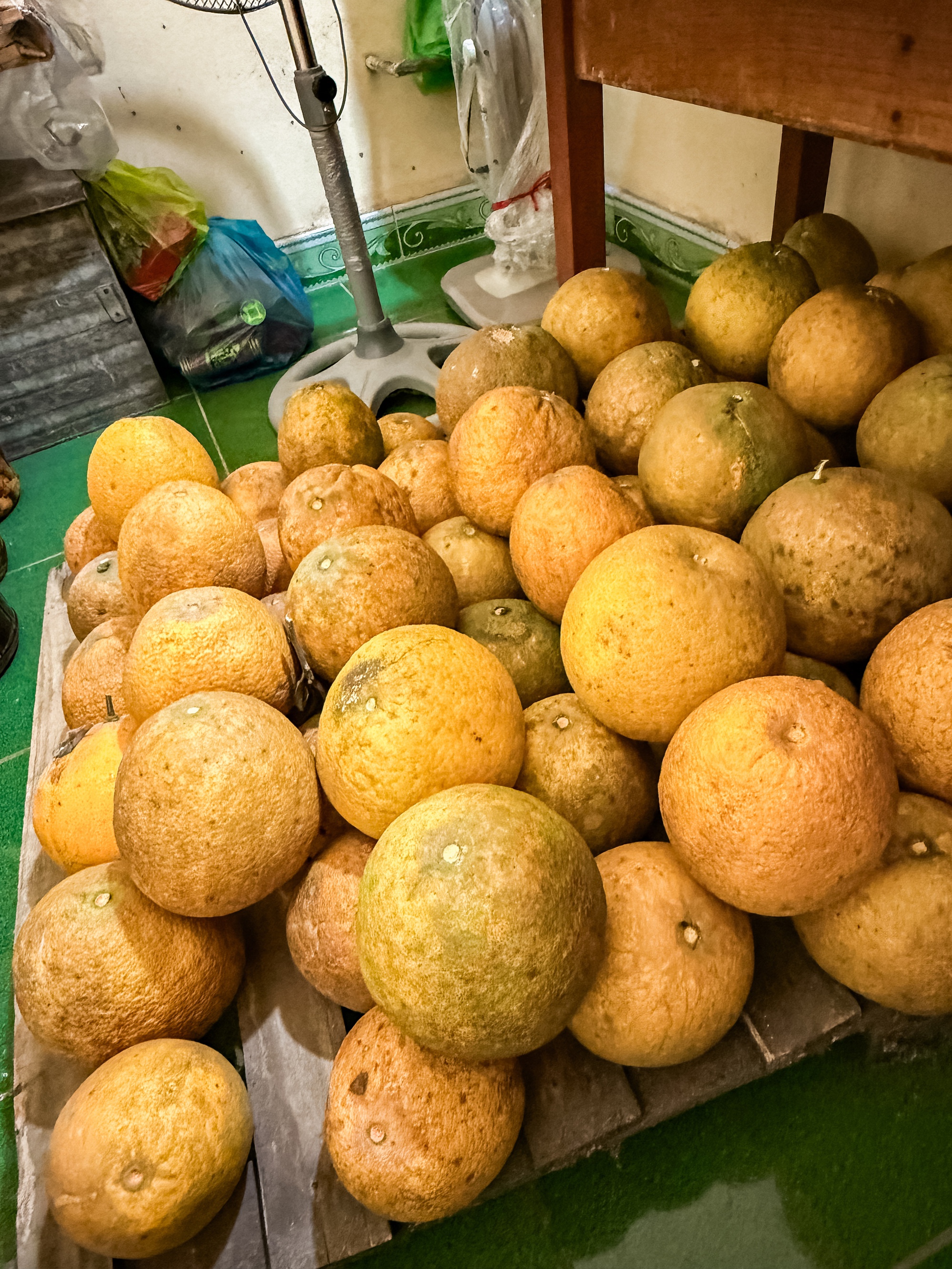 Cảnh tượng nhìn là biết Tết miền Bắc- Ảnh 2. Cảnh tượng nhìn là biết Tết miền Bắc- Ảnh 2.