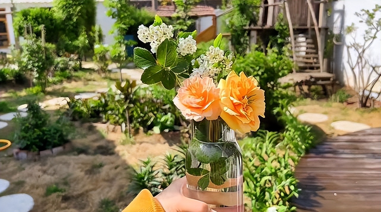 Kh&ocirc;ng mua nh&agrave; th&agrave;nh phố, cặp vợ chồng 33 tuổi biến s&acirc;n qu&ecirc; th&agrave;nh "ph&ograve;ng tắm nắng" v&agrave; chọn một kiểu tự do t&agrave;i ch&iacute;nh khiến d&acirc;n mạng tranh luận- Ảnh 17.