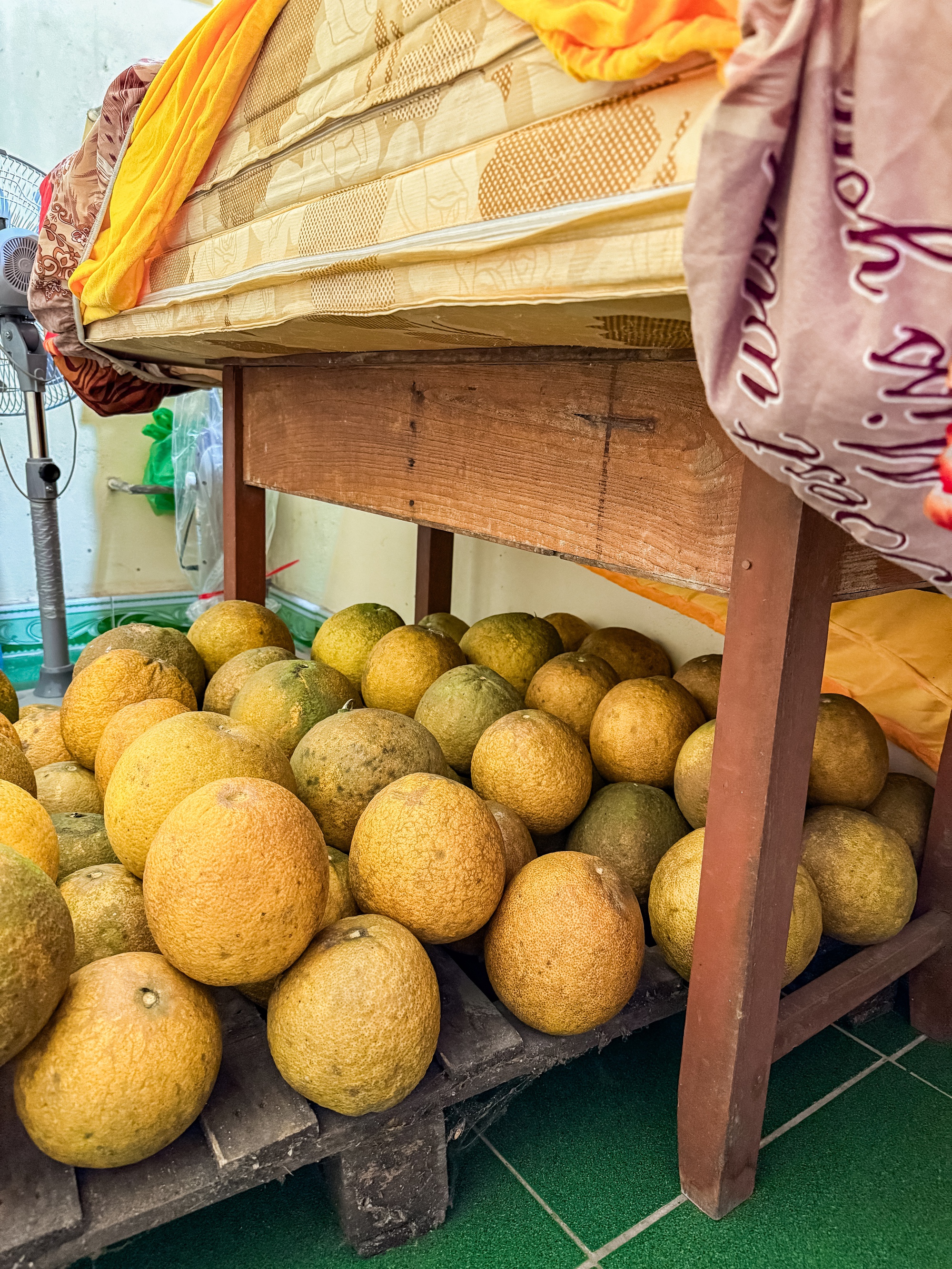 Cảnh tượng nhìn là biết Tết miền Bắc- Ảnh 1. Cảnh tượng nhìn là biết Tết miền Bắc- Ảnh 1.