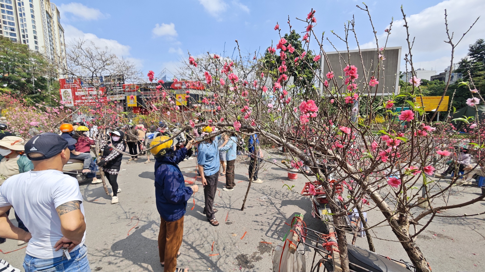 Chợ hoa 29 Tết: Tiểu thương hạ gi&aacute; trước giờ G, kh&ocirc;ng c&ograve;n cảnh 