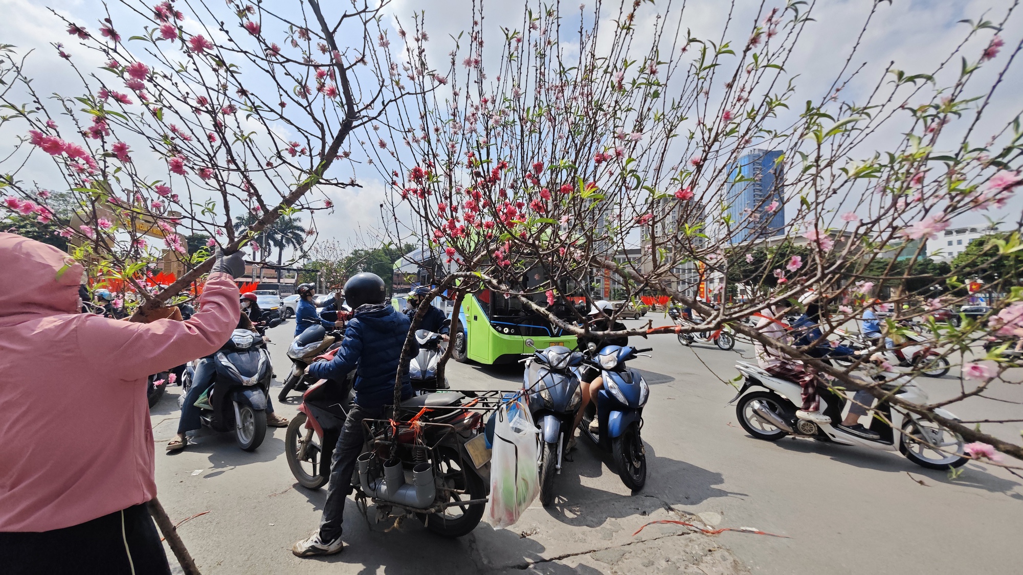 Chợ hoa 29 Tết: Tiểu thương hạ gi&aacute; trước giờ G, kh&ocirc;ng c&ograve;n cảnh 