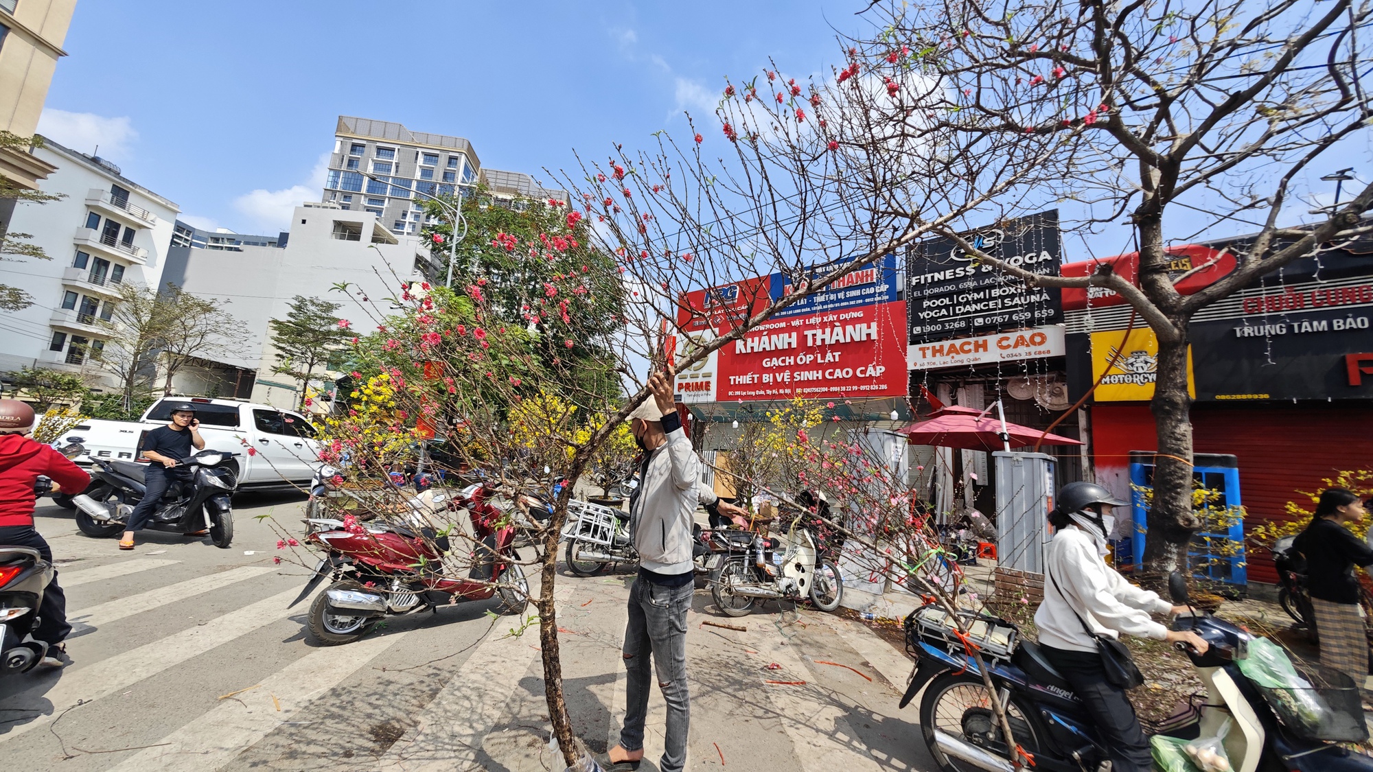 Chợ hoa 29 Tết: Tiểu thương hạ gi&aacute; trước giờ G, kh&ocirc;ng c&ograve;n cảnh 