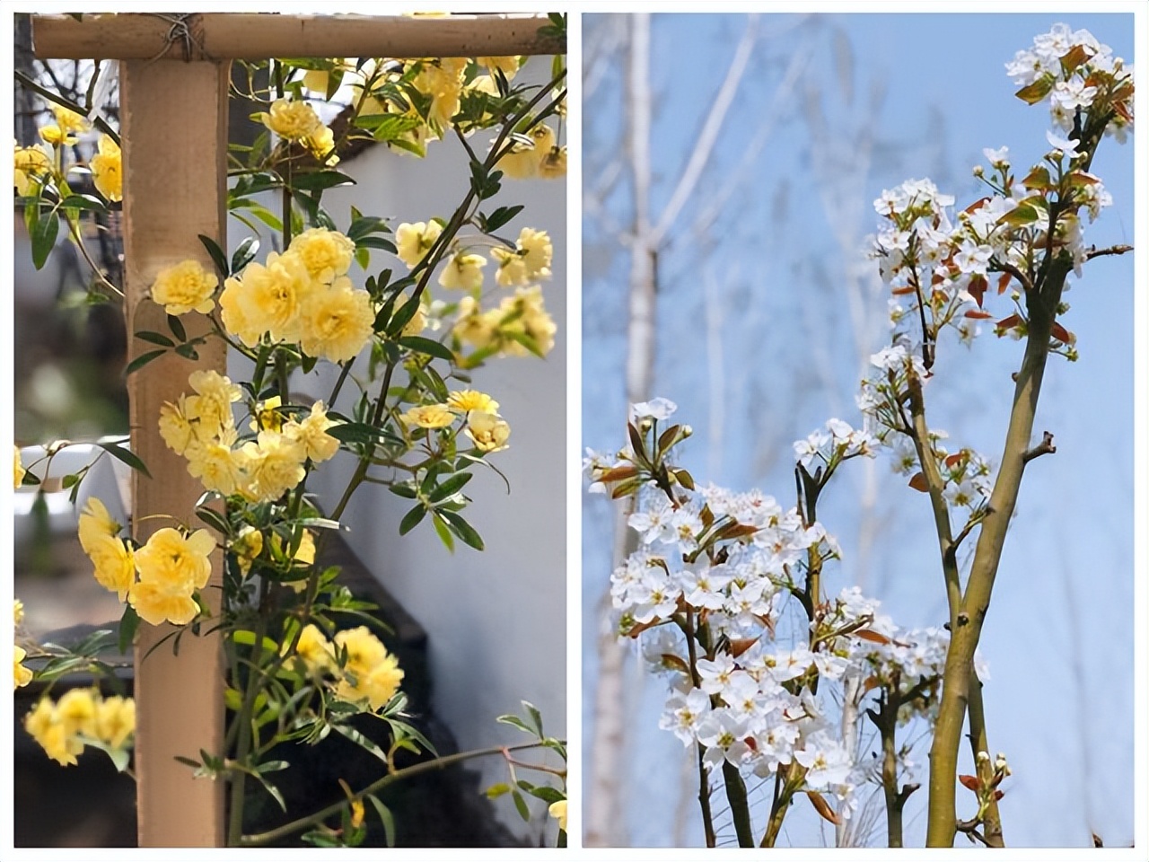 Kh&ocirc;ng mua nh&agrave; th&agrave;nh phố, cặp vợ chồng 33 tuổi biến s&acirc;n qu&ecirc; th&agrave;nh "ph&ograve;ng tắm nắng" v&agrave; chọn một kiểu tự do t&agrave;i ch&iacute;nh khiến d&acirc;n mạng tranh luận- Ảnh 12.