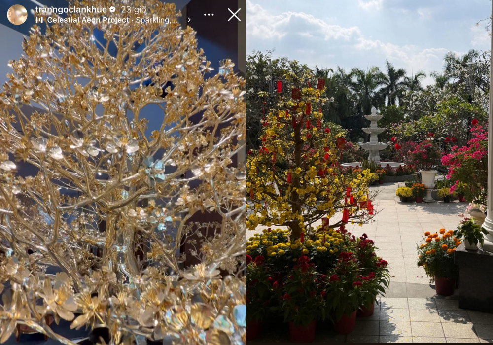 Đường đua d&acirc;u h&agrave;o m&ocirc;n Vbiz ng&agrave;y 29 Tết: Tăng Thanh H&agrave; khoe m&acirc;m c&uacute;ng t&ocirc;m h&ugrave;m, Lan Khu&ecirc; v&agrave; hội mỹ nh&acirc;n thi nhau flex nh&agrave; cửa ngập hoa- Ảnh 2.