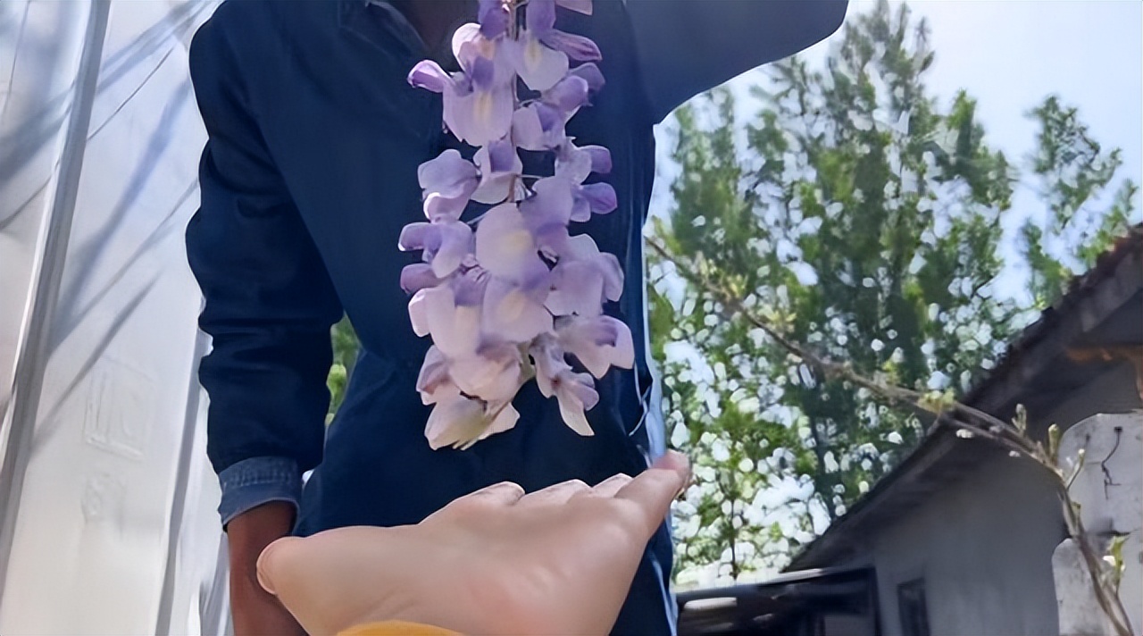 Kh&ocirc;ng mua nh&agrave; th&agrave;nh phố, cặp vợ chồng 33 tuổi biến s&acirc;n qu&ecirc; th&agrave;nh "ph&ograve;ng tắm nắng" v&agrave; chọn một kiểu tự do t&agrave;i ch&iacute;nh khiến d&acirc;n mạng tranh luận- Ảnh 16.