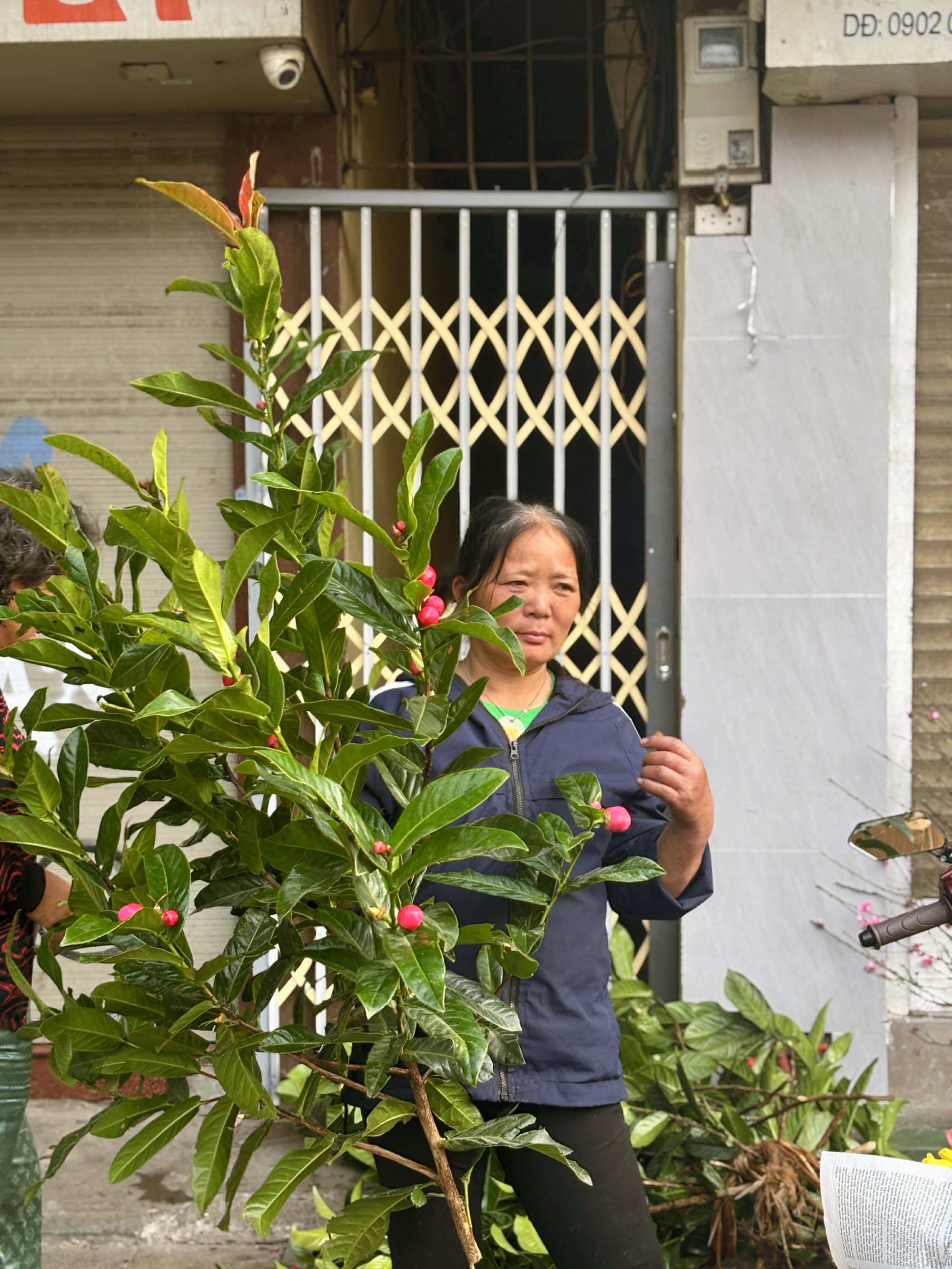 29 Tết: Không phải Hàng Bè, đây mới là nên cần đến nếu muốn tìm kiếm những nét truyền thống của Tết xưa- Ảnh 17. 29 Tết: Không phải Hàng Bè, đây mới là nên cần đến nếu muốn tìm kiếm những nét truyền thống của Tết xưa- Ảnh 17.