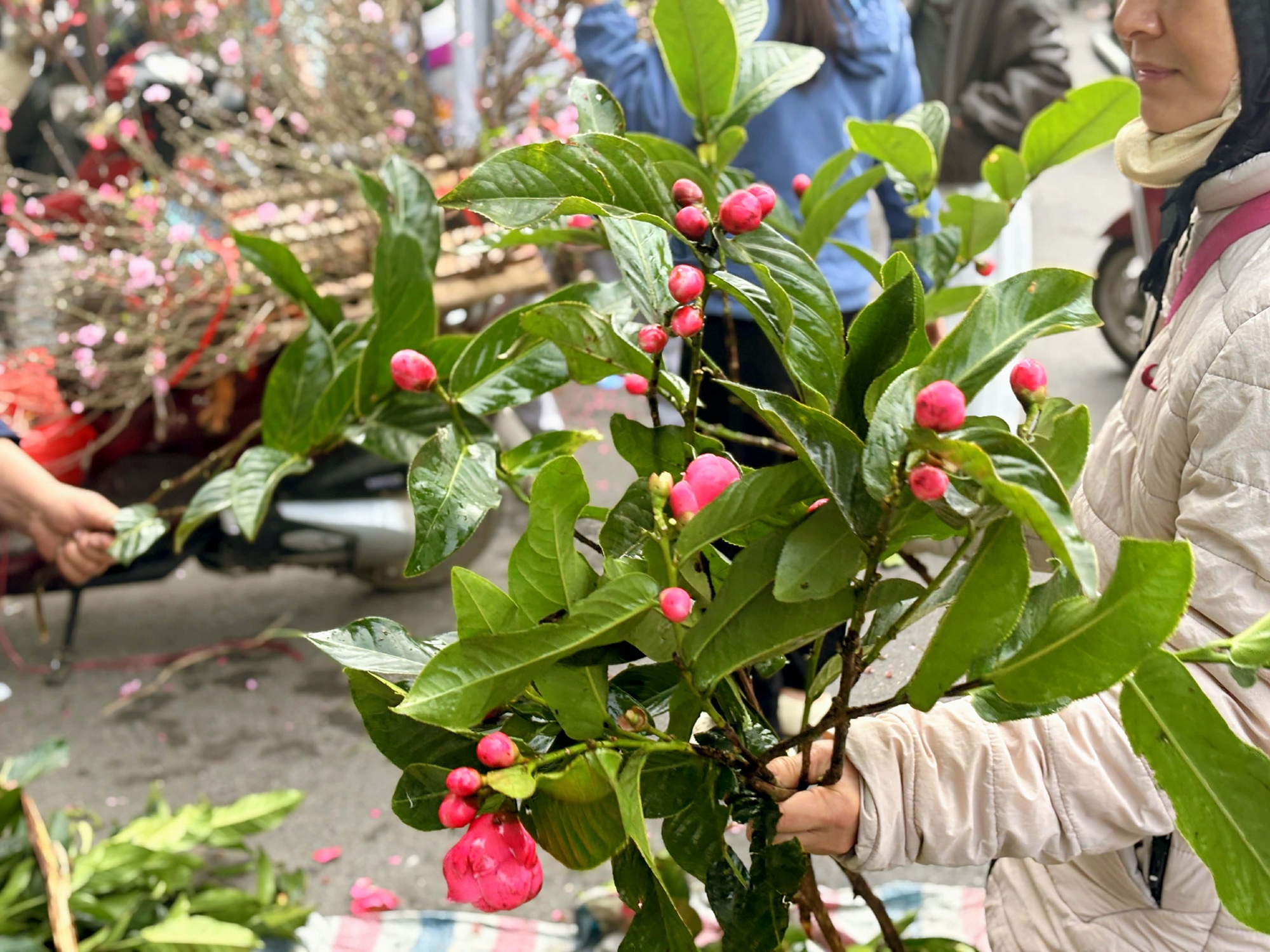 29 Tết: Không phải Hàng Bè, đây mới là nên cần đến nếu muốn tìm kiếm những nét truyền thống của Tết xưa- Ảnh 14. 29 Tết: Không phải Hàng Bè, đây mới là nên cần đến nếu muốn tìm kiếm những nét truyền thống của Tết xưa- Ảnh 14.