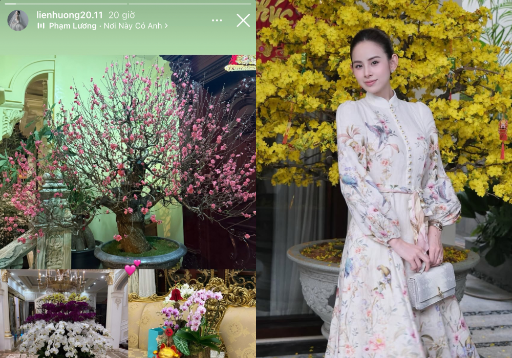 Đường đua d&acirc;u h&agrave;o m&ocirc;n Vbiz ng&agrave;y 29 Tết: Tăng Thanh H&agrave; khoe m&acirc;m c&uacute;ng t&ocirc;m h&ugrave;m, Lan Khu&ecirc; v&agrave; hội mỹ nh&acirc;n thi nhau flex nh&agrave; cửa ngập hoa- Ảnh 8.