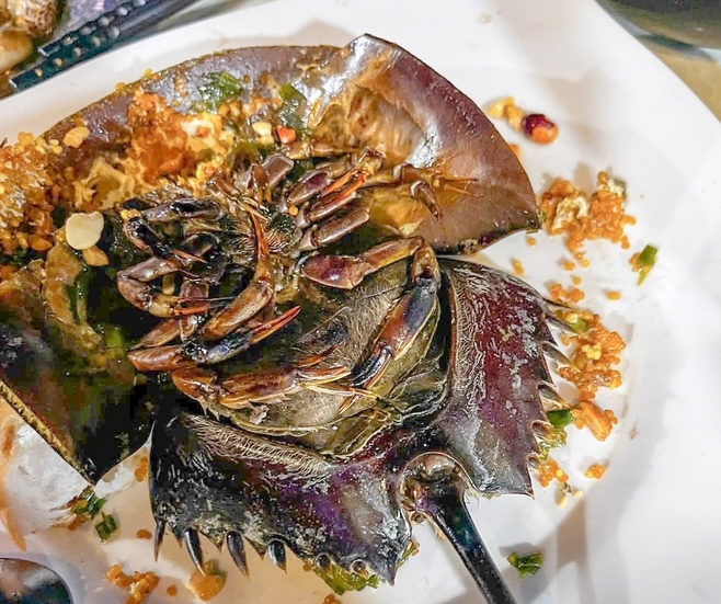 Ăn s&ograve;, ốc, sam, nhiều người nghi ngộ độc phải cấp cứu- Ảnh 1.