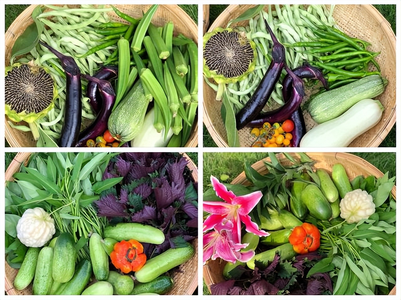 Kh&ocirc;ng mua nh&agrave; th&agrave;nh phố, cặp vợ chồng 33 tuổi biến s&acirc;n qu&ecirc; th&agrave;nh "ph&ograve;ng tắm nắng" v&agrave; chọn một kiểu tự do t&agrave;i ch&iacute;nh khiến d&acirc;n mạng tranh luận- Ảnh 8.