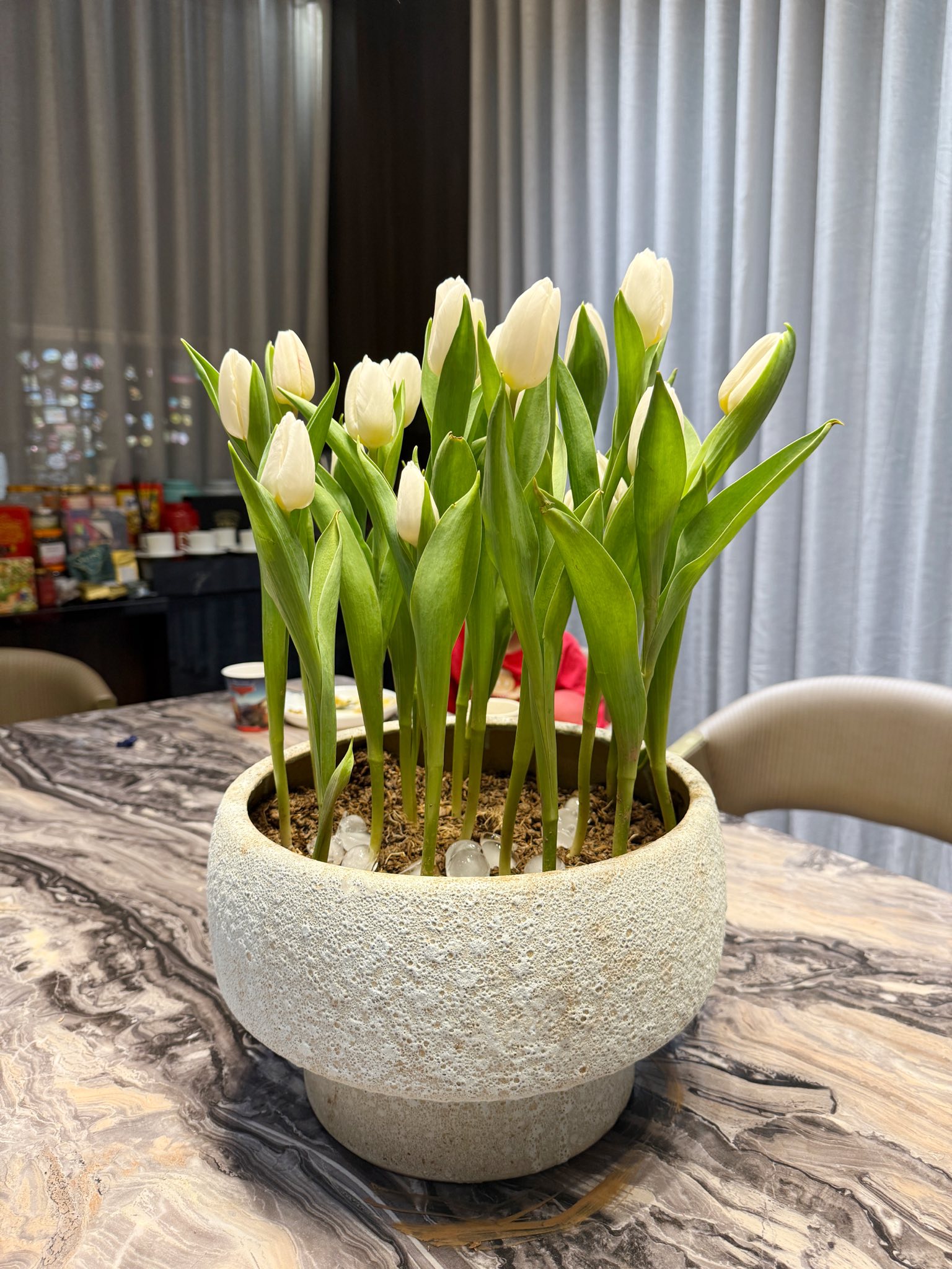 Tết n&agrave;y rinh cả chậu Tulip về chơi, cứ học hotmom Hằng T&uacute;i tuyệt chi&ecirc;u "ướp lạnh" đảm bảo hoa rực rỡ, c&aacute;nh &ocirc;m ch&uacute;m ch&iacute;m căng tr&agrave;n xuy&ecirc;n Tết!- Ảnh 2.