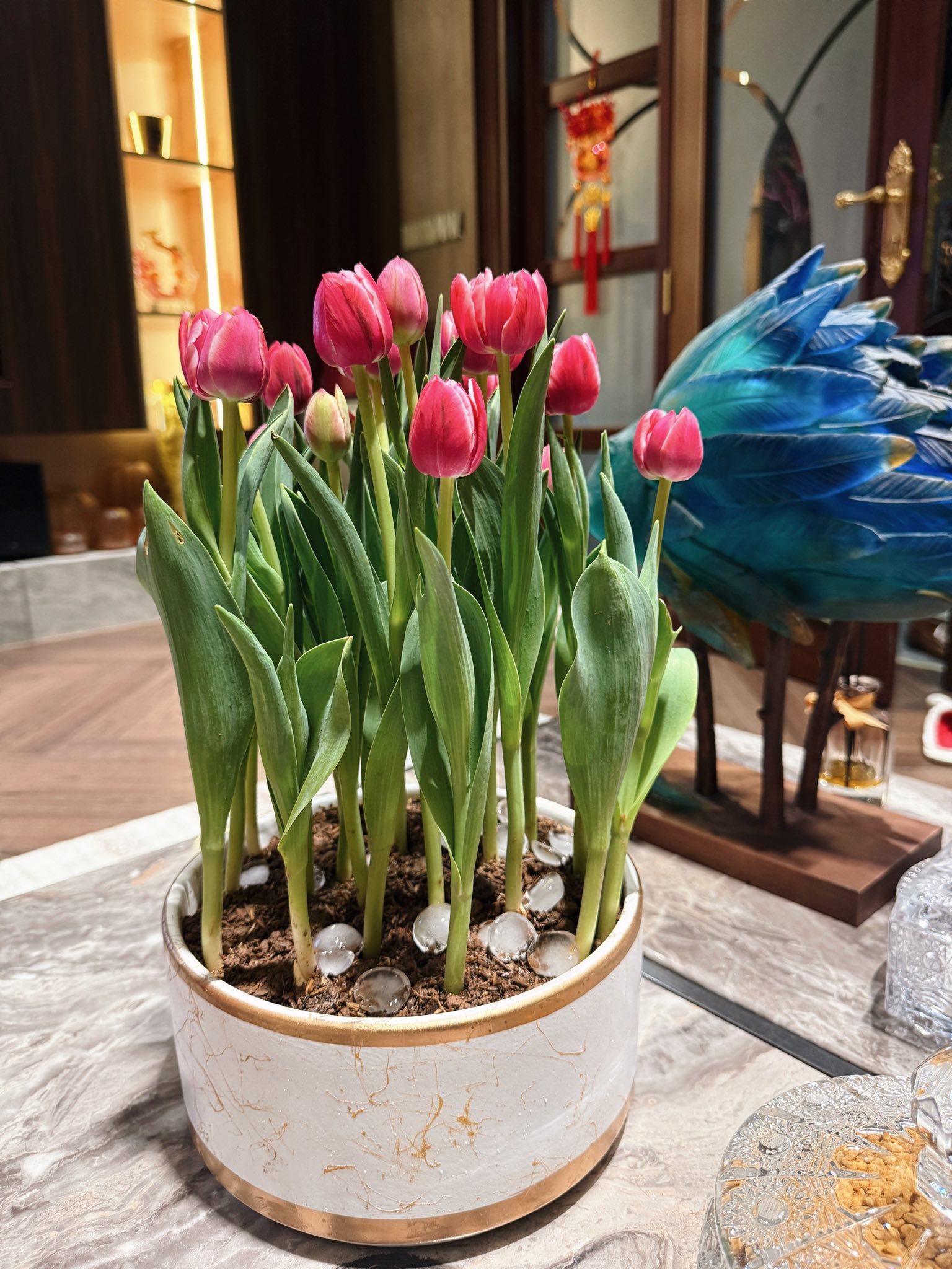 Tết n&agrave;y rinh cả chậu Tulip về chơi, cứ học hotmom Hằng T&uacute;i tuyệt chi&ecirc;u "ướp lạnh" đảm bảo hoa rực rỡ, c&aacute;nh &ocirc;m ch&uacute;m ch&iacute;m căng tr&agrave;n xuy&ecirc;n Tết!- Ảnh 3.