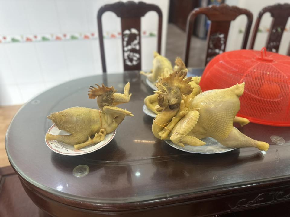 &ldquo;Kiếp nạn&rdquo; luộc g&agrave; c&uacute;ng Giao thừa: Đầu c&aacute;nh đảo lộn, da th&igrave; to&aacute;c, c&ograve;n cứu nổi kh&ocirc;ng?- Ảnh 8.