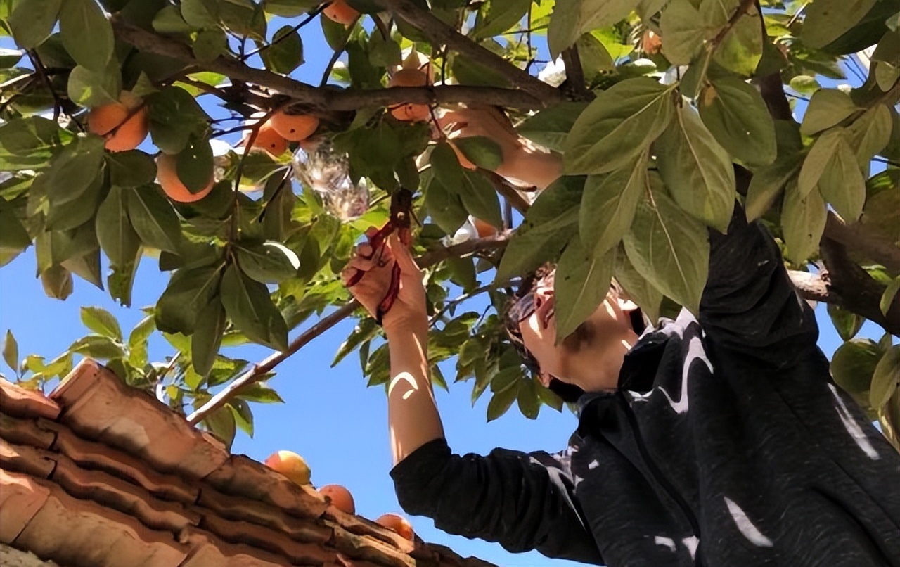 Kh&ocirc;ng mua nh&agrave; th&agrave;nh phố, cặp vợ chồng 33 tuổi biến s&acirc;n qu&ecirc; th&agrave;nh "ph&ograve;ng tắm nắng" v&agrave; chọn một kiểu tự do t&agrave;i ch&iacute;nh khiến d&acirc;n mạng tranh luận- Ảnh 7.