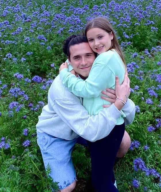 Tiểu thư Harper th&agrave;nh 