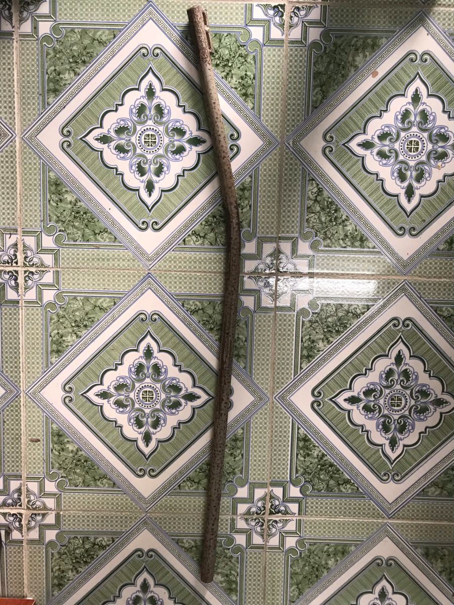 Ra lệnh bắt tạm giam L&ecirc; Th&agrave;nh Long 48 tuổi, Dương Đức Việt 19 tuổi- Ảnh 5.